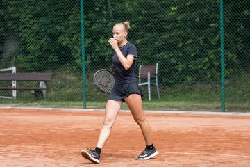 Album: 2026 - 